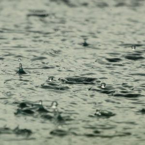 NADIE HABLA SOBRE EL CLUB DE LA LLUVIA…